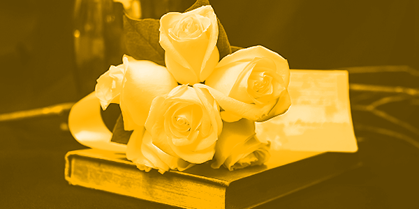 A soft yellow-black toned image of roses on a book