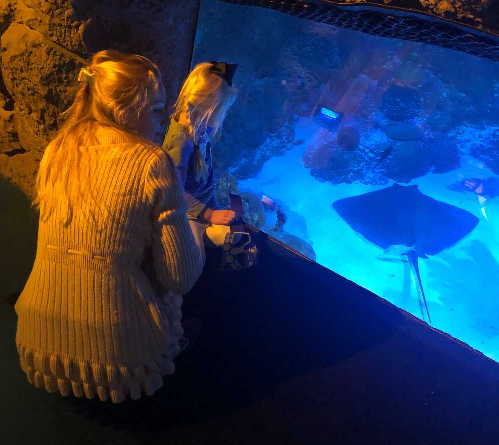 A woman and her daughter look at a stingray exhibit at an aquarium.